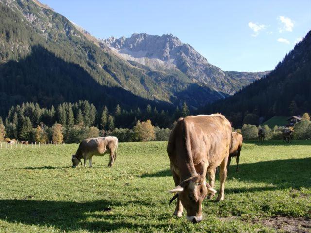 Walliser Stube Aparthotel Mittelberg Exterior photo